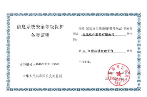 遠(yuǎn)光軟件率先通過網(wǎng)絡(luò)安全等級(jí)保護(hù)2.0備案，以技術(shù)實(shí)力共建網(wǎng)絡(luò)信息安全新防線